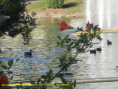 /album/galeria-de-fotos/foto-do-barreiro-1-png/